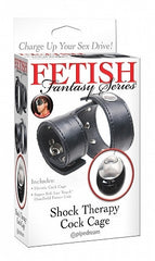 Fetish Fantasy Shock Therapy Cock Cage
